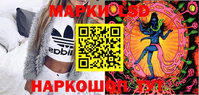 крисы Кулебаки