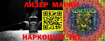 крисы Кулебаки