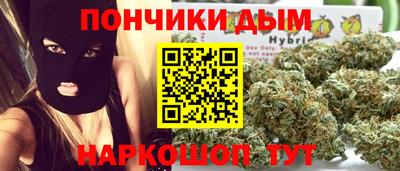 крисы Кулебаки