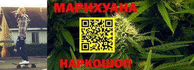 крисы Кулебаки