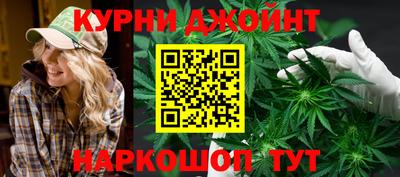 крисы Кулебаки