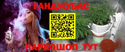 крисы Кулебаки