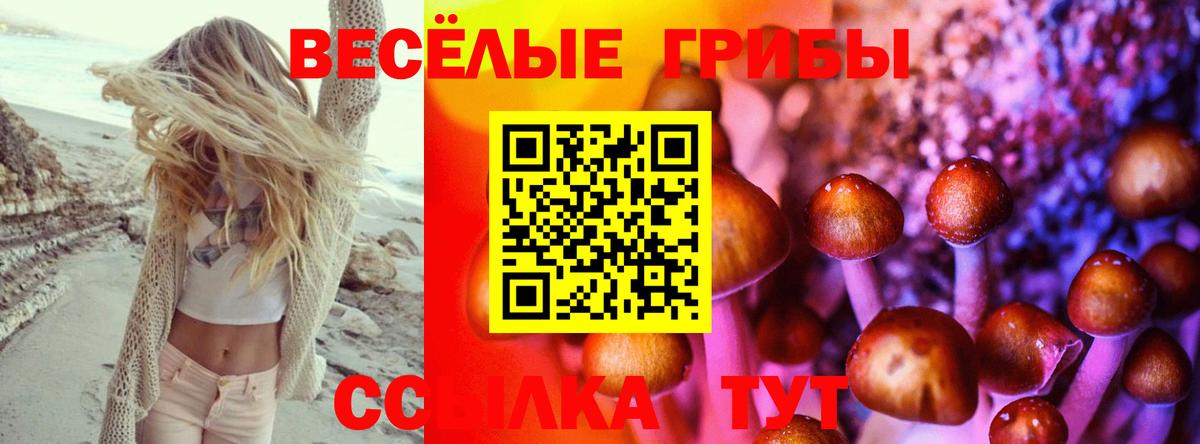 Галлюциногенные грибы GOLDEN TEACHER Кизляр